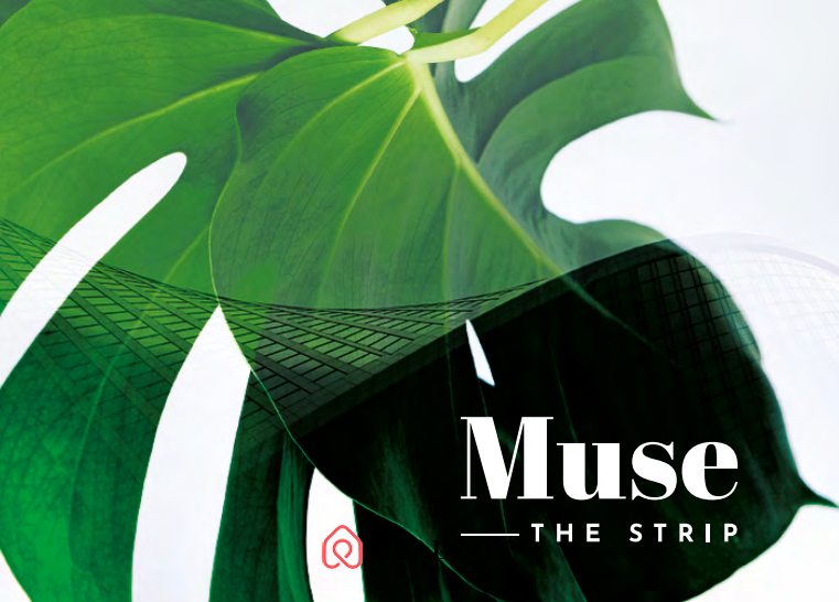 The Muse New Cairo Mall